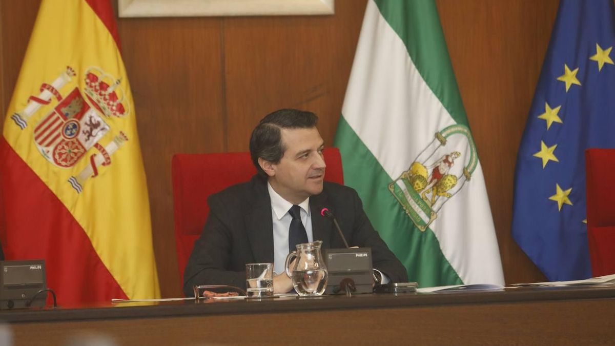 El alcalde de Córdoba, José María Bellido, en el último Pleno de 2025