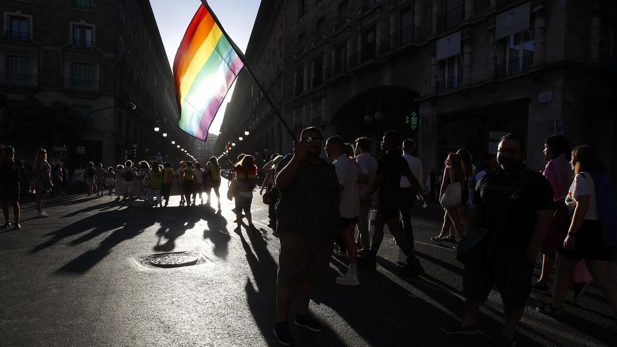 La ley que castiga con cárcel las terapias para 'curar' la homosexualidad afronta su primer examen en el Congreso