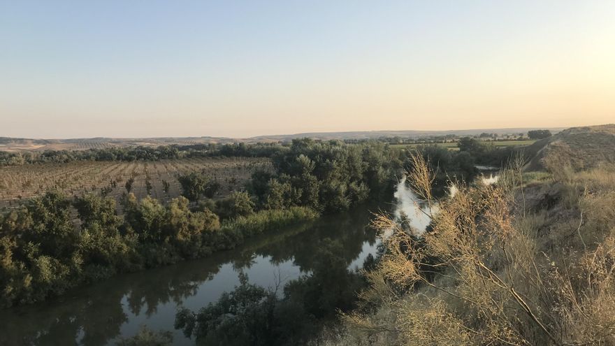 El canal de las Aves, en la vega de Aranjuez