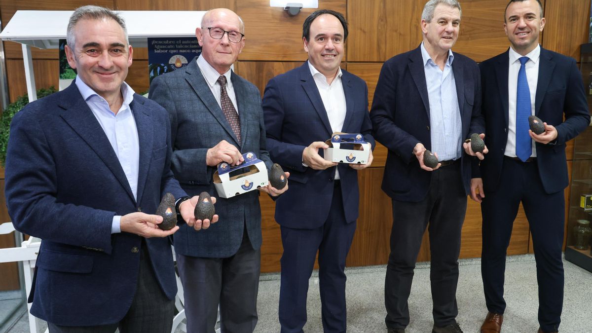 Regar amb diners públics el cultiu més assedegat: el Govern valencià destina 20 milions a l’alvocat, mentre exigeix transvasaments