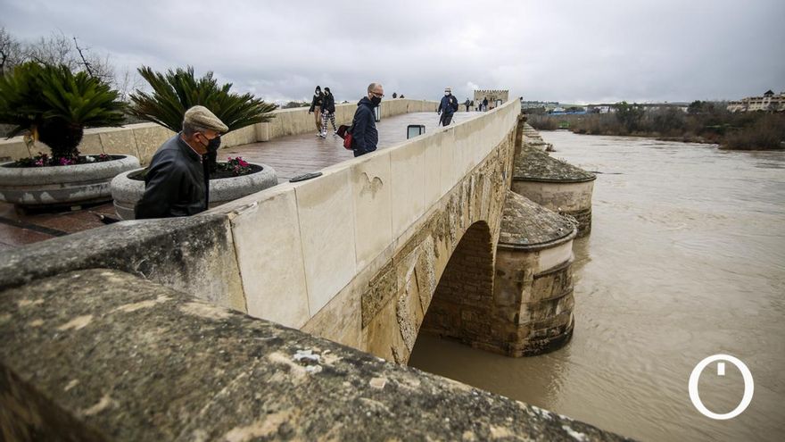 La crecida del río Guadalquivir a su paso por Córdoba