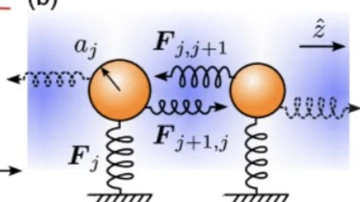 Los autores apuntaron que los ciclos coordinados en sistemas macroscópicos permiten estudiar interacciones desiguales similares