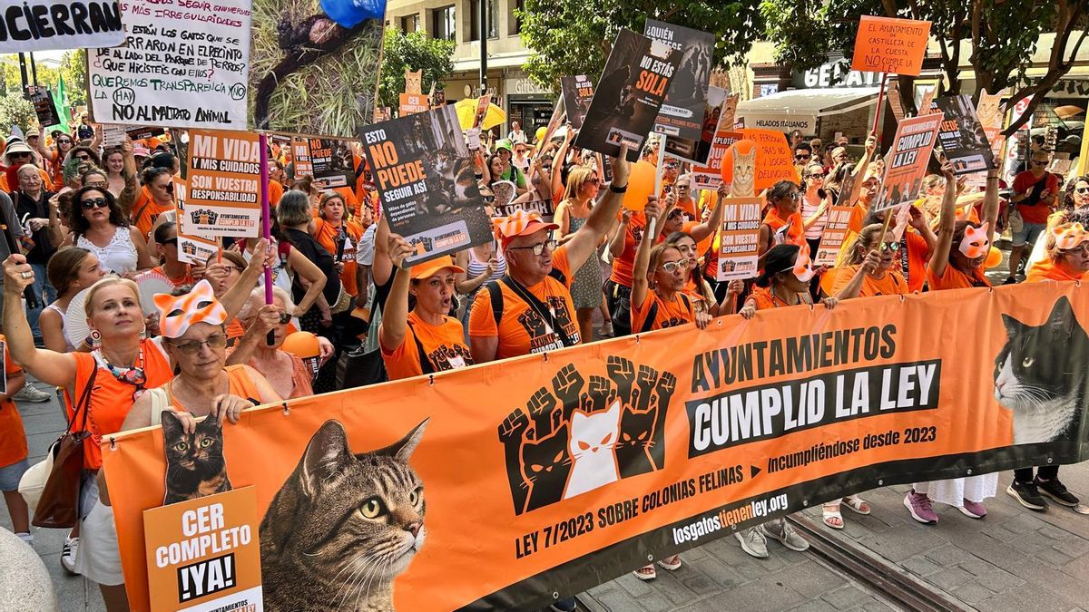 Imagen, en Sevilla, de la manifestación que recorrió varias ciudades para pedir que se cumpla la Ley.