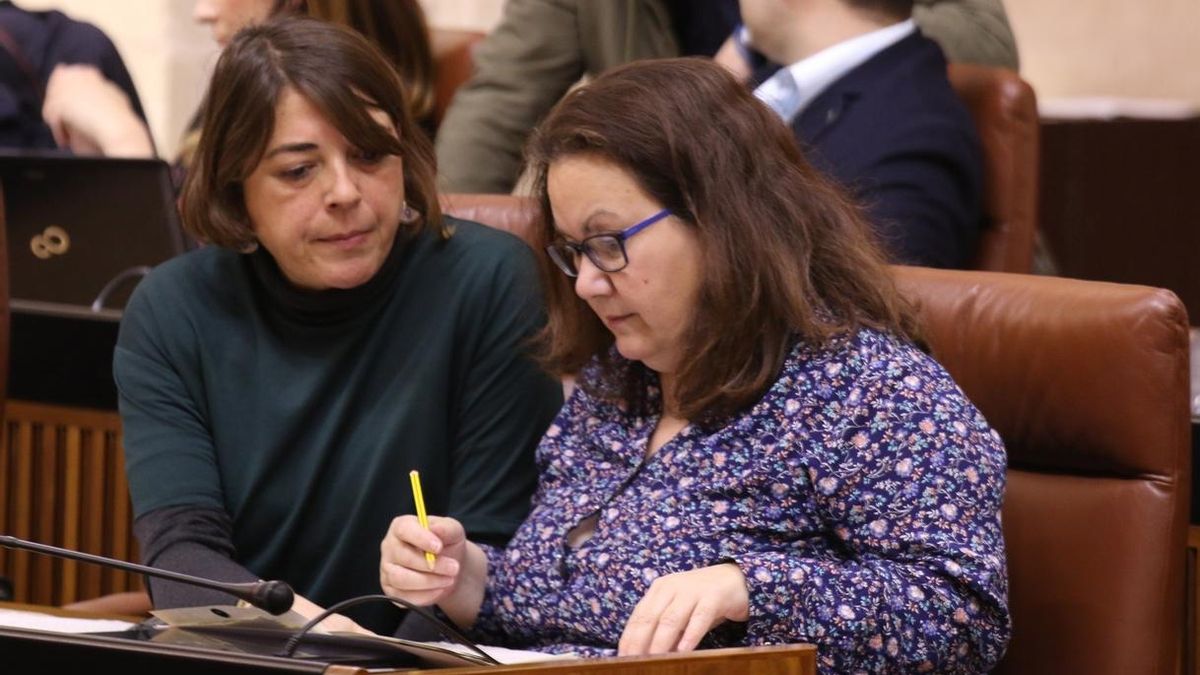 Junta de Portavoces apoya que la diputada no adscrita vaya solo a la comisión de desarrollo estatuario a propuesta de Cs