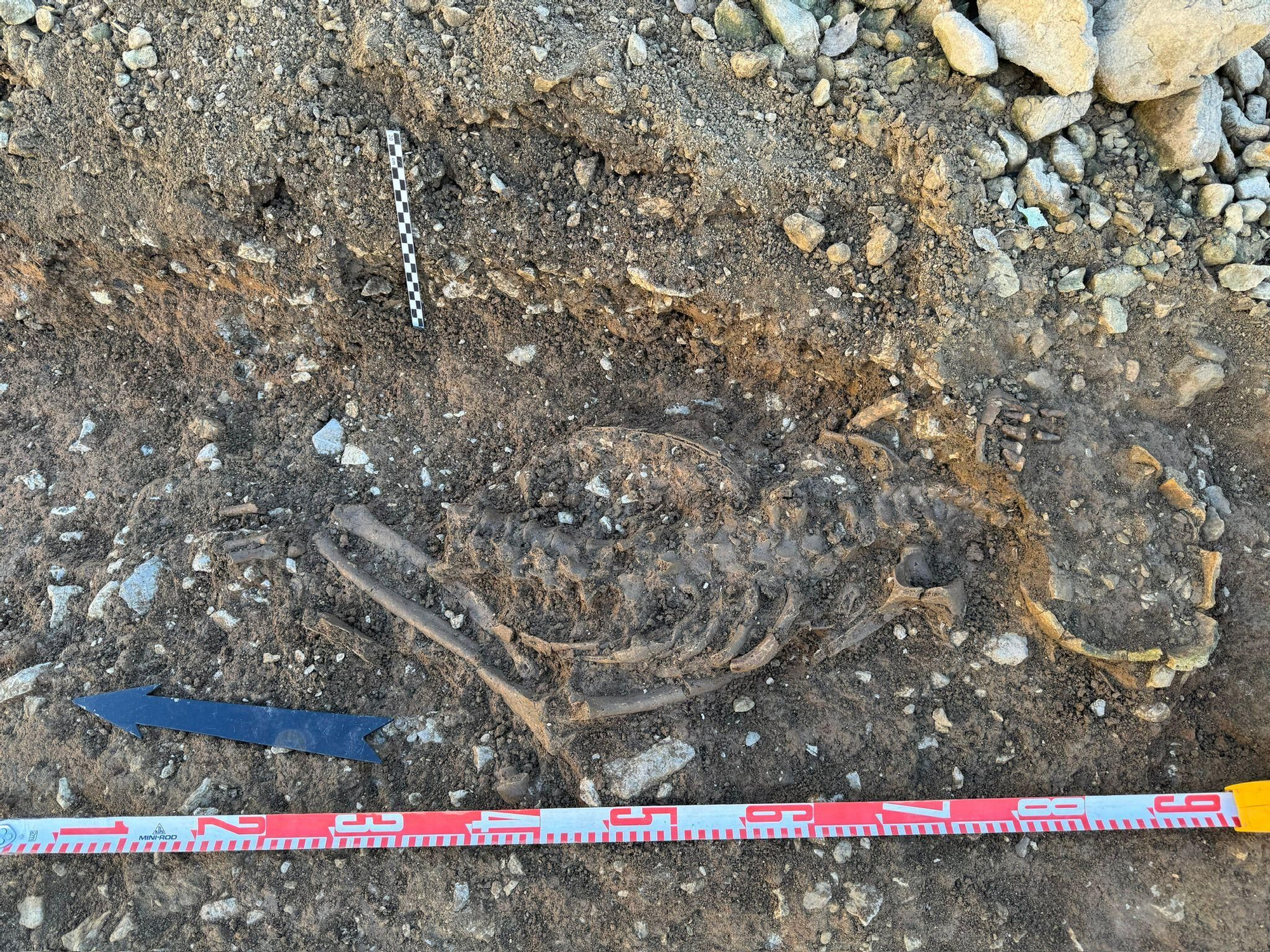 Uno de los cuerpos encontrados en el yacimiento de Almallutx