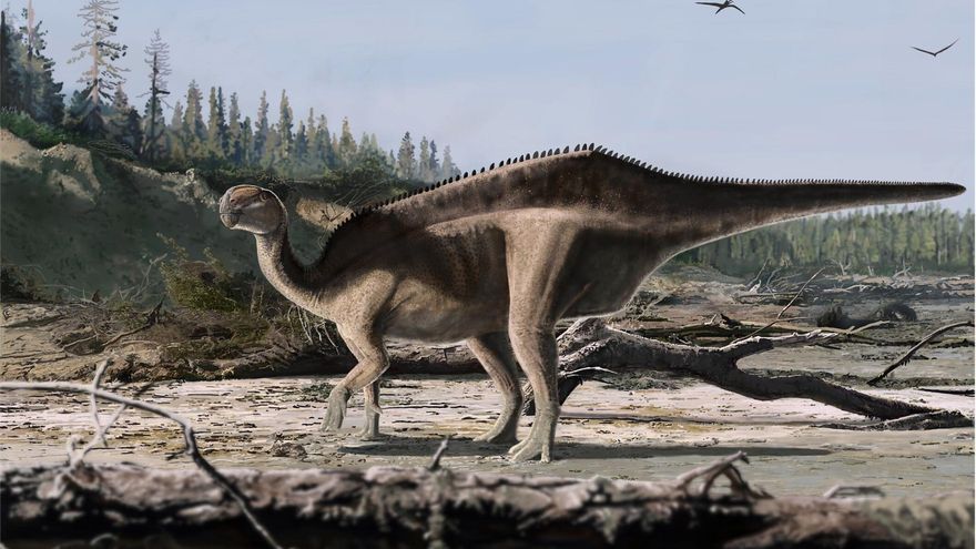 Descubren un fósil de una especie inédita de dinosaurio con vela en Inglaterra