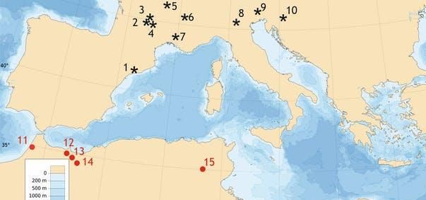 Localización de yacimientos neandertales (asteriscos) y sapiens (•) en los que se han encontrado ornamentos del Paleolítico medio sobre garras de águila (asteriscos) o conchas marinas (•): 1, Cova Foradada; 2, Combe Grenal; 3) Les Fieux; 4, Pech de l’Azé; 5, Mandrin; 6, Grotte de l`Hyene-Grotte du Renne; 7, Baume Gigny; 8, Grotta di Fumane; 9, Rio Secco; 10, Krapina; 11, Contrebandiers; 12, Ifri n’Ammar; 13, Rhafas; 14, Taforalt; 15, Oued Djebbana; 16, Skhul; 17, Qafzeh. / A. Rodríguez-Hidalgo/UCM, Author provided