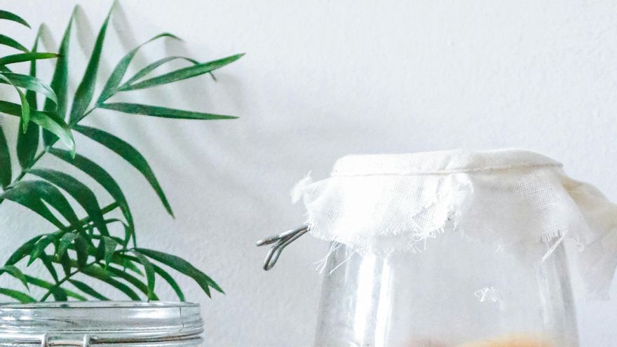 Siete alimentos ricos en probióticos que ayudan a cuidar la salud digestiva