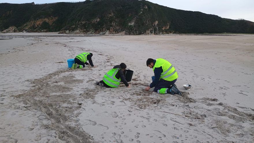 Asturias activa el nivel dos de emergencia por los pellets y podrá recibir ayuda del Ministerio que no llegará a Galicia
