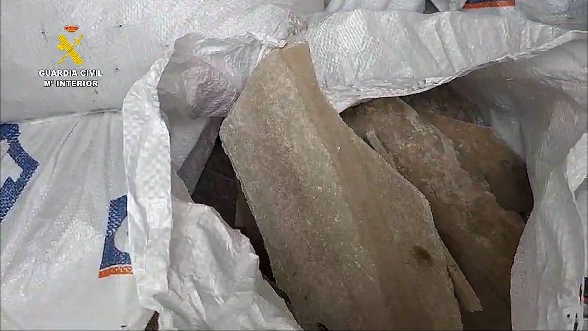 Furgoneta  interceptada por el Seprona de la Guardia Civil en Gran Canaria - GUARDIA CIVIL