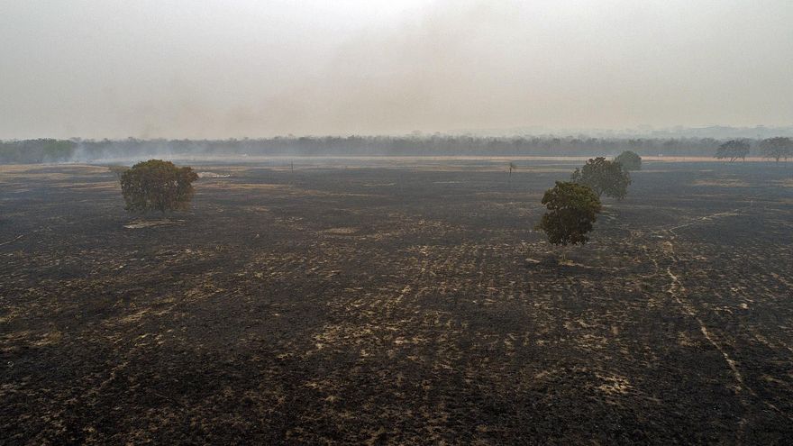 Los incendios en la Amazonía brasileña se quintuplican en agosto