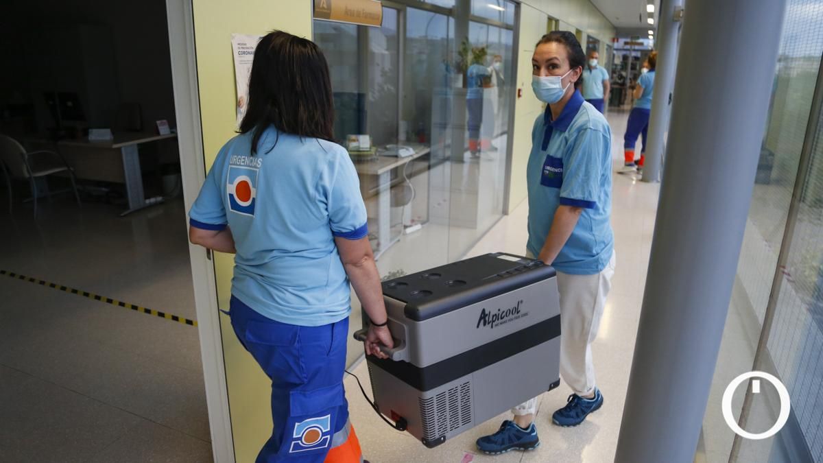 La llegada de vacunas, su procesado y distribución, en imágenes