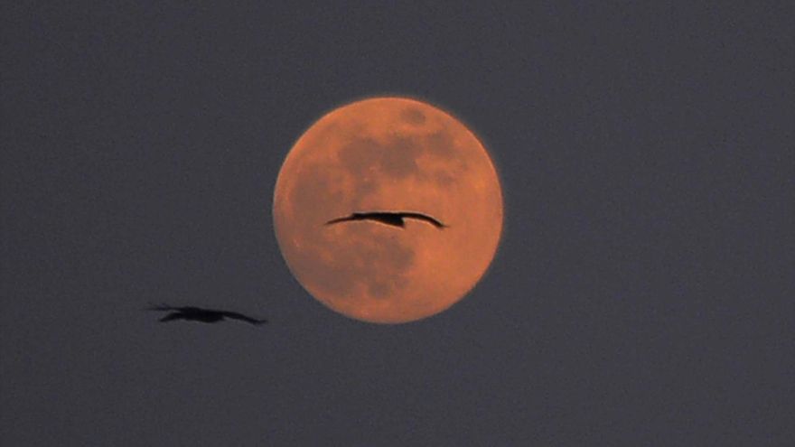 Luna llena diciembre 2024: Cuándo y cómo ver la Luna Fría este fin de semana