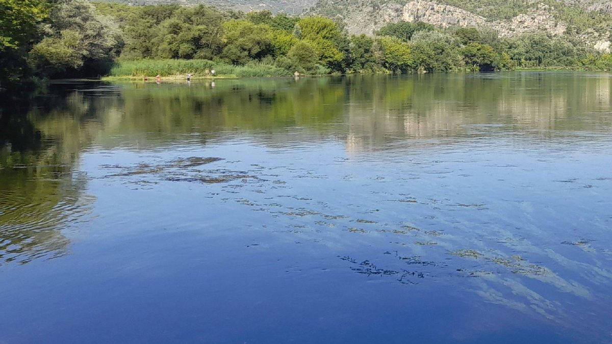 Las zonas de baño oficiales son lugares donde se garantiza la calidad del agua y se prestan una serie de servicios a los bañistas.