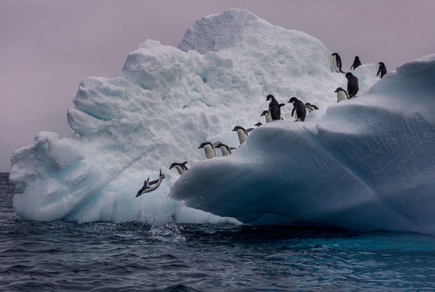 Segundo premio ‘Fotógrafo Iberoamericano 2021’