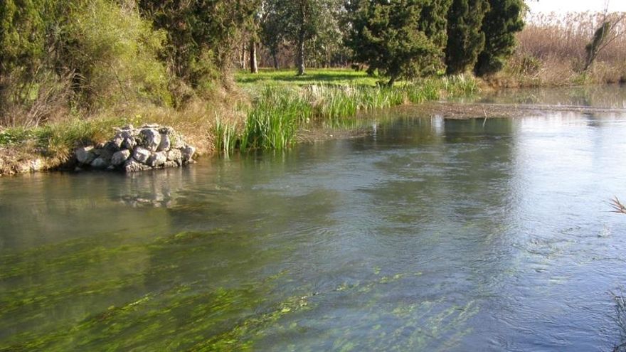 Hasta 10.000 euros de sanción al Ayuntamiento de Oliva por expolio de agua de un pozo del marjal de Pego-Oliva