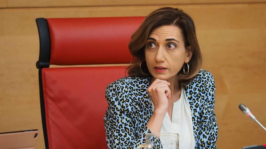 La procuradora de UPL en las Cortes de Castilla y León, Alicia Gallego.
