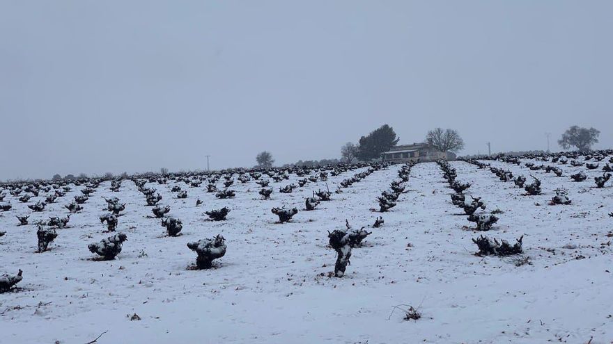 Nieve en el campo