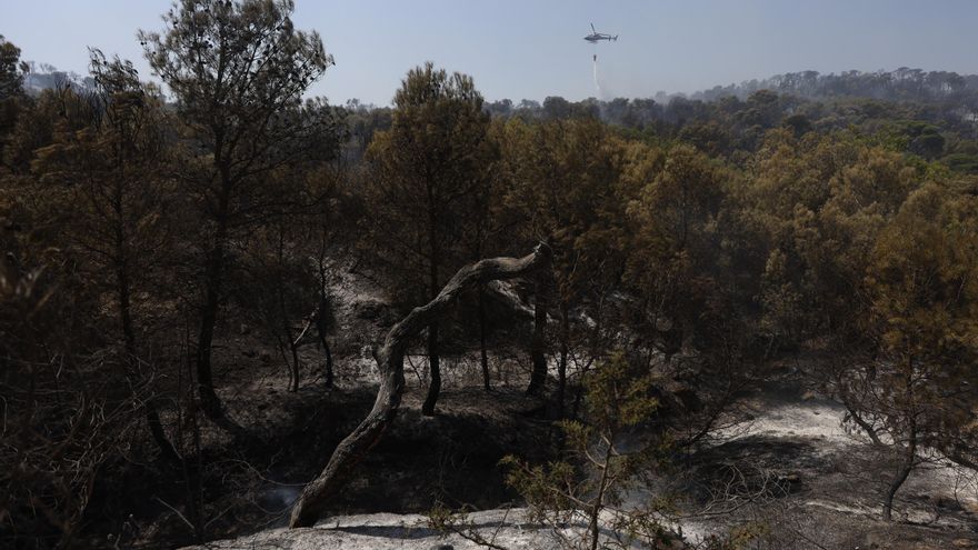 Controlado en Navarra el incendio de Carcastillo, donde continúan las labores de refresco por las altas temperaturas