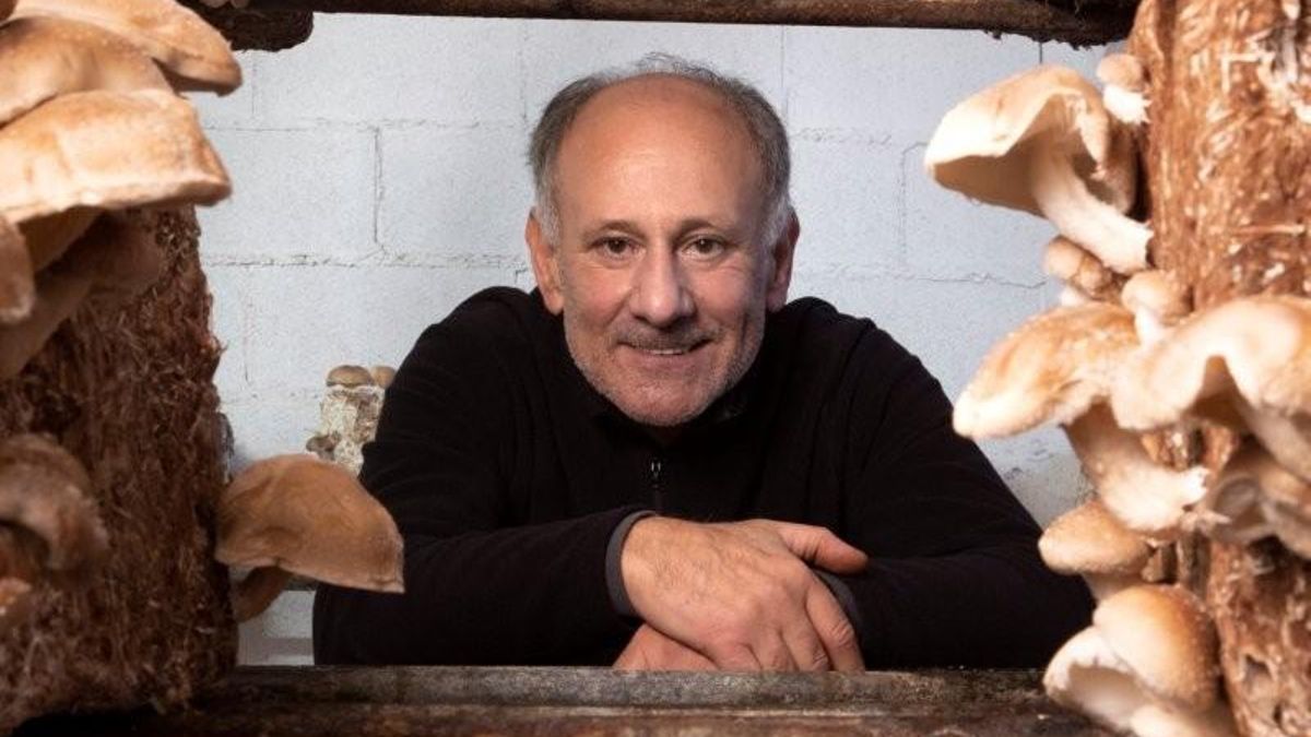 Del sueño olímpico al cultivo sostenible: el auge del Shiitake que nació en Barcelona 92 y crece en La Rioja