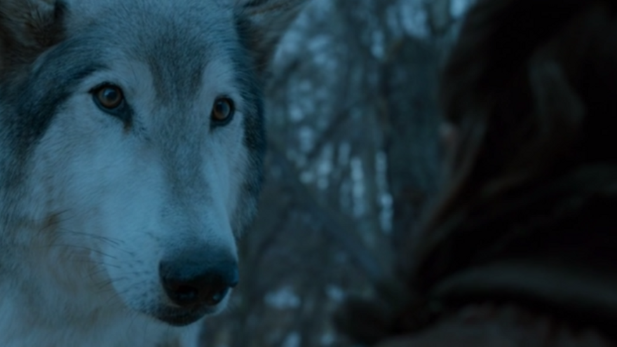 Arya Stark y Nymeria
