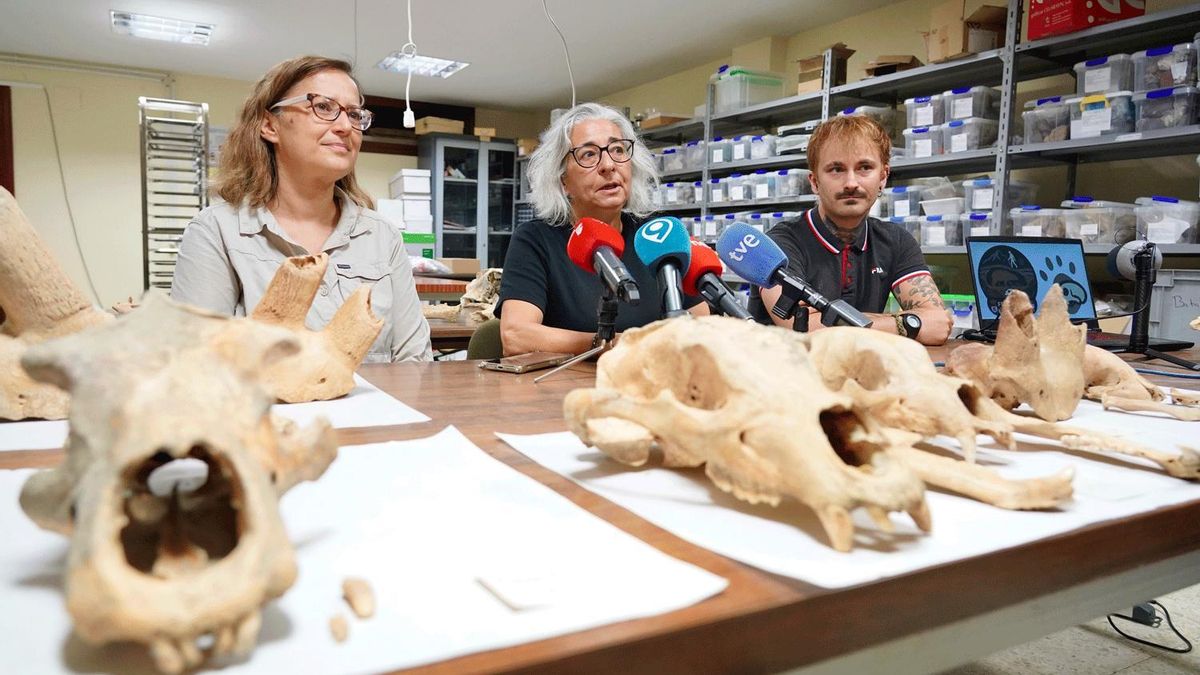 ‘Frontera Cantábrica’ recuperará restos óseos en 28 cuevas de la provincia de León