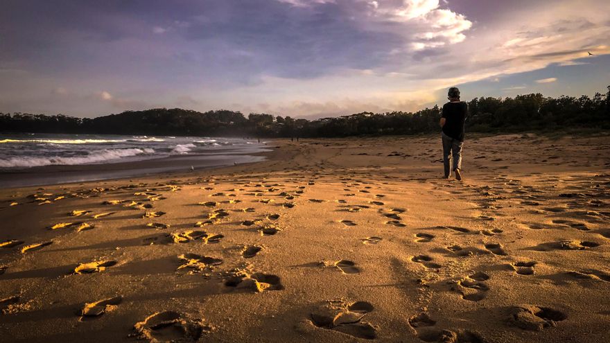 ¿Quién puede analizar el ADN que vamos perdiendo por ahí?