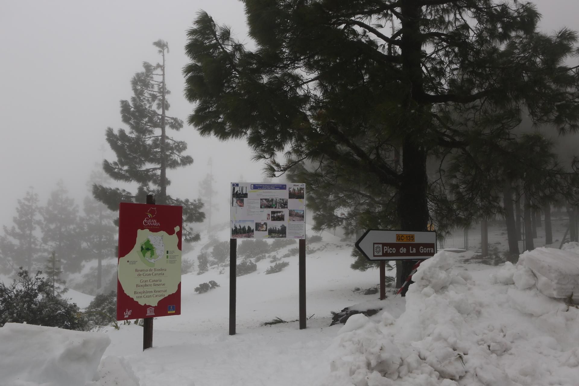 Jornada del sábado, 20 de febrero en la cumbre (Alejandro Ramos).