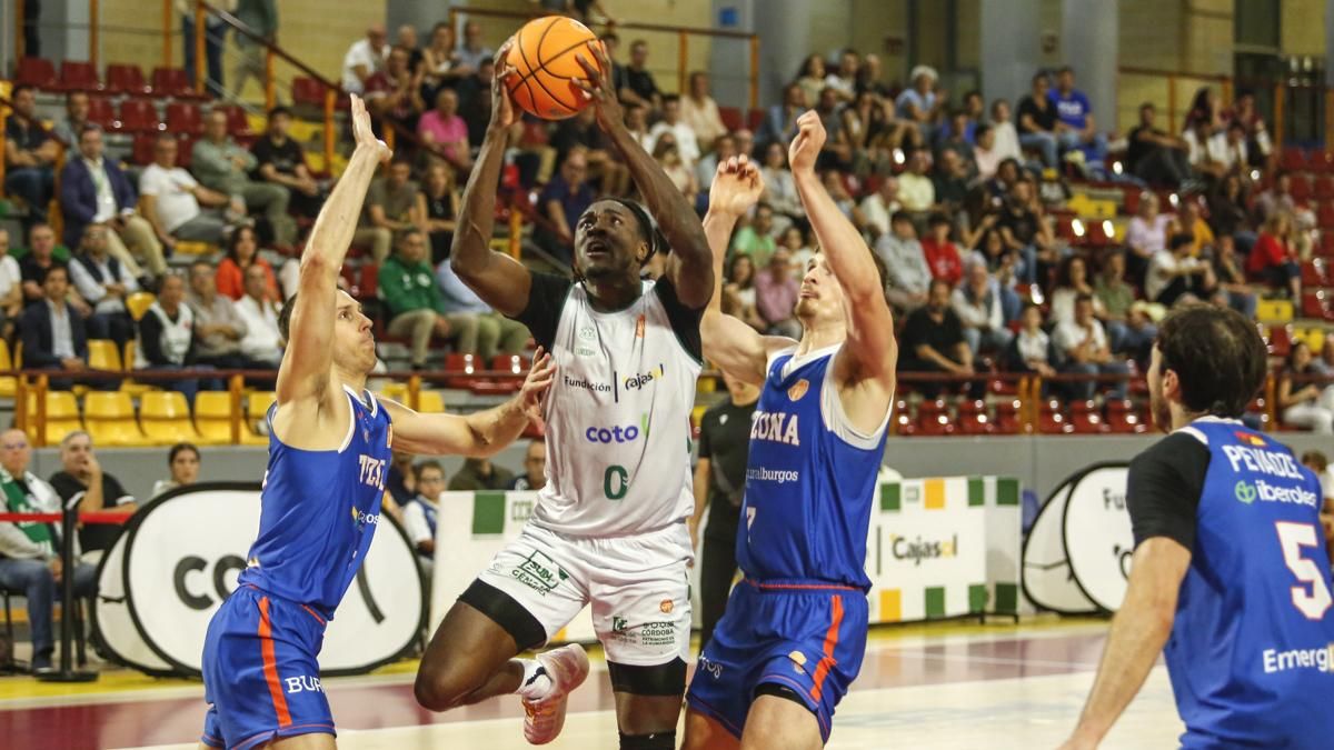 Cajasol Coto Córdoba CB - Tizona Burgos