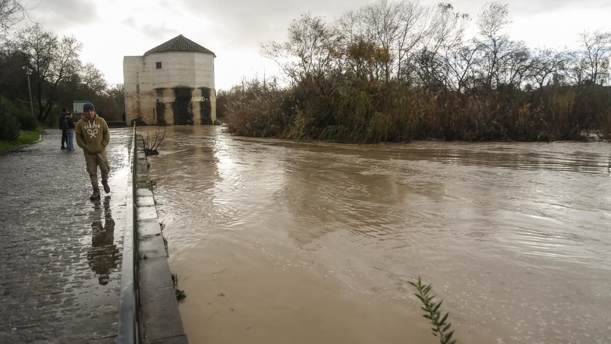Crecida del río Guadalquivir a su paso por Córdoba