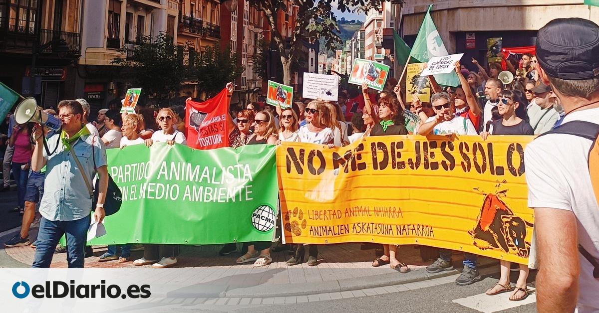 Fiestas y maltrato animal en Euskadi, de la sokamuturra o las carreras de burros hasta los toros: la denuncia gana espacio
