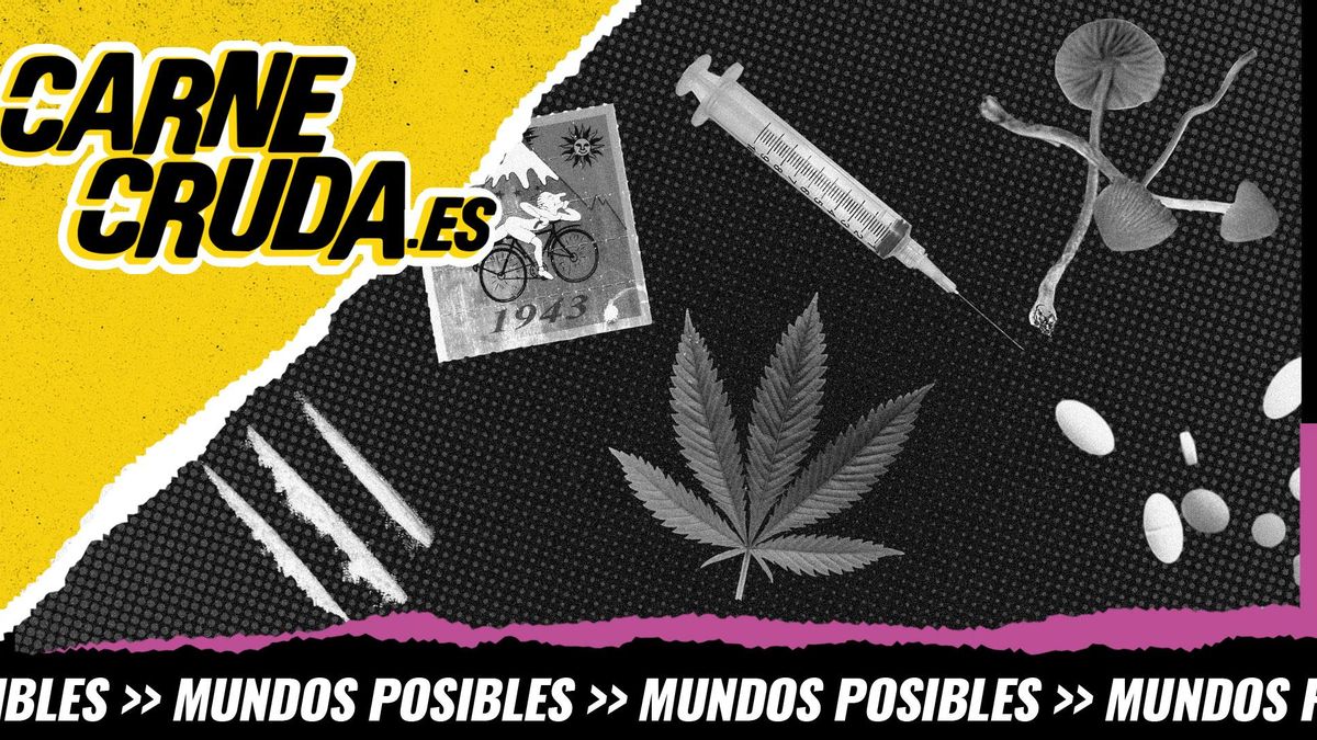 Drogas: ¿Es posible un buen viaje?