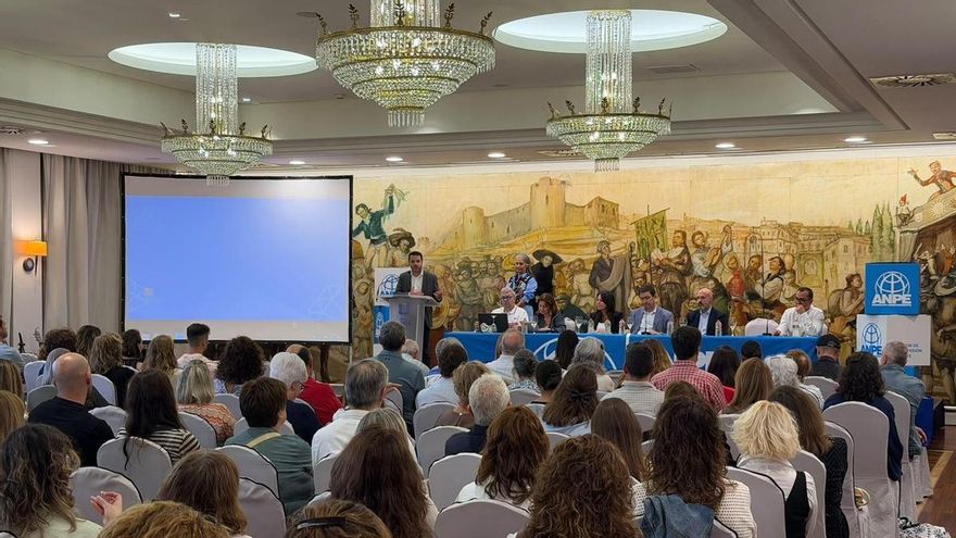 El sindicato ANPE exige menos niños por aula y reducir la carga burocrática de los profesores