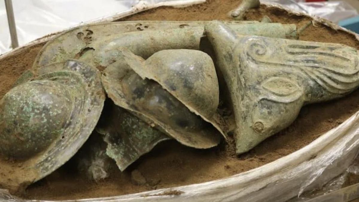 La conservación avanza mientras se decide su estatus legal