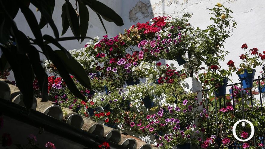 Un paseo visual por los ganadores del Concurso de Patios de Córdoba 2025
