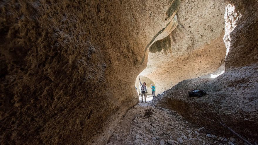 Fósiles de 7.000 años muestran cómo la pesca humana transforma los arrecifes del Caribe