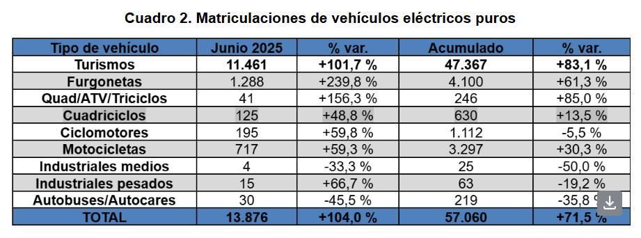 Los 100% eléctricos, por tipo de vehículo.