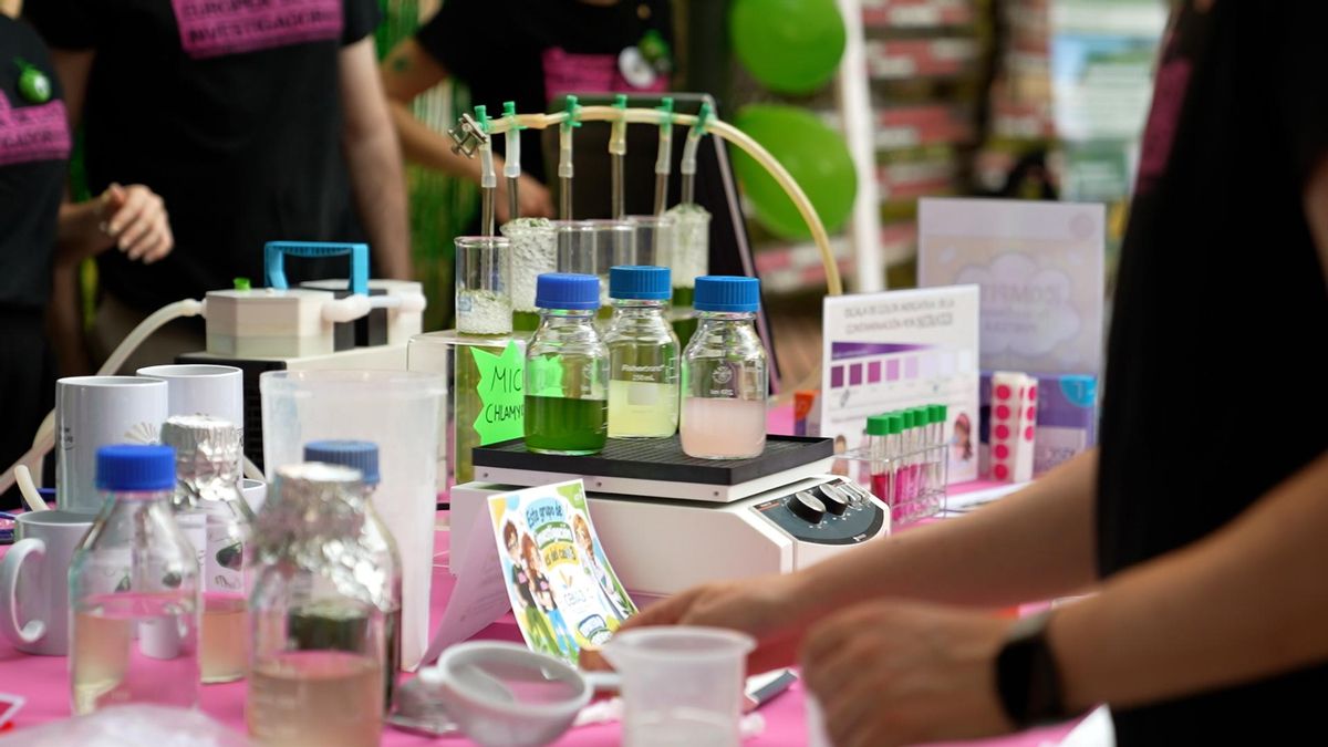 Feria de los ingenios