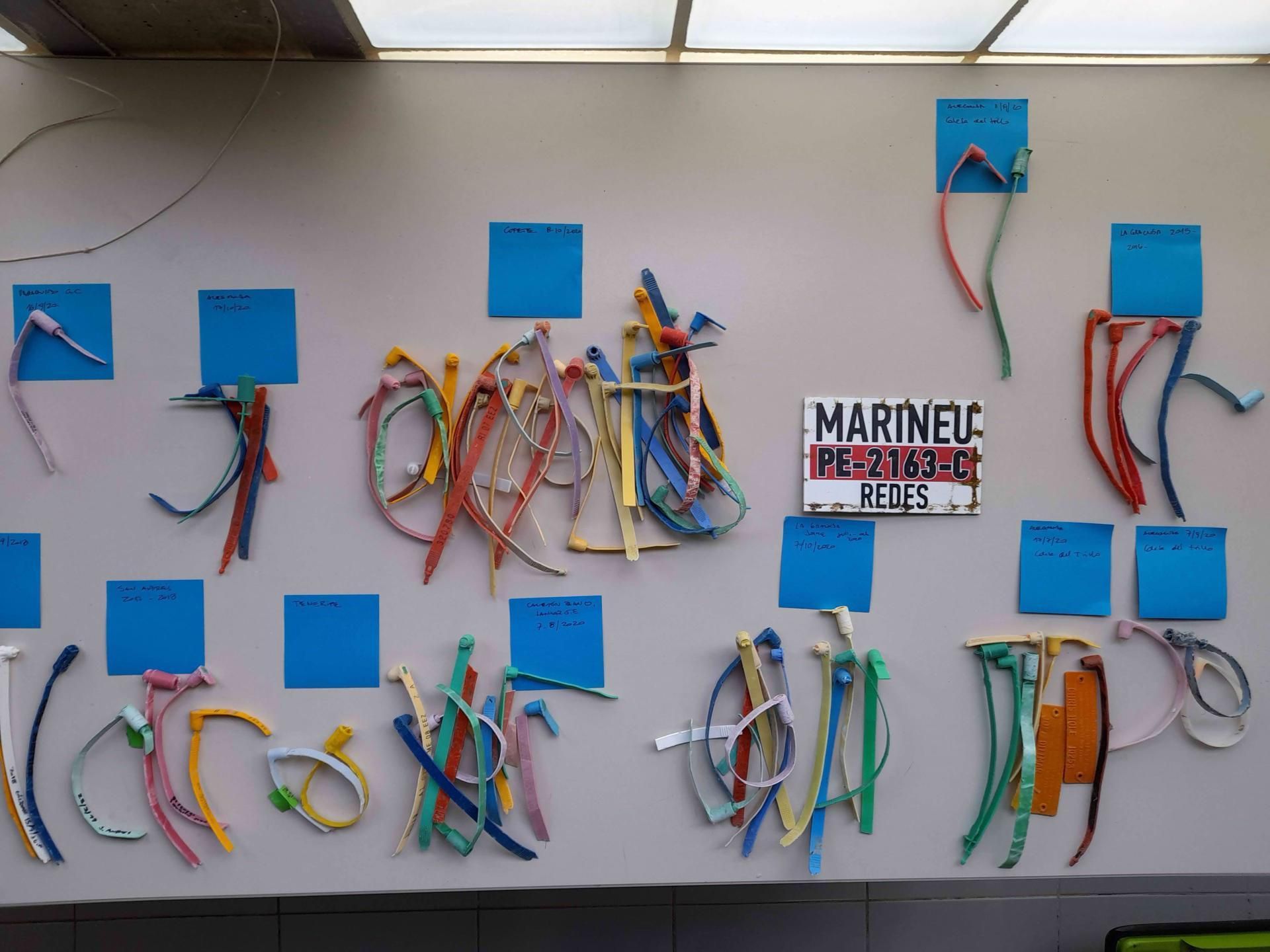 Etiquetas recogidad en Canarias.