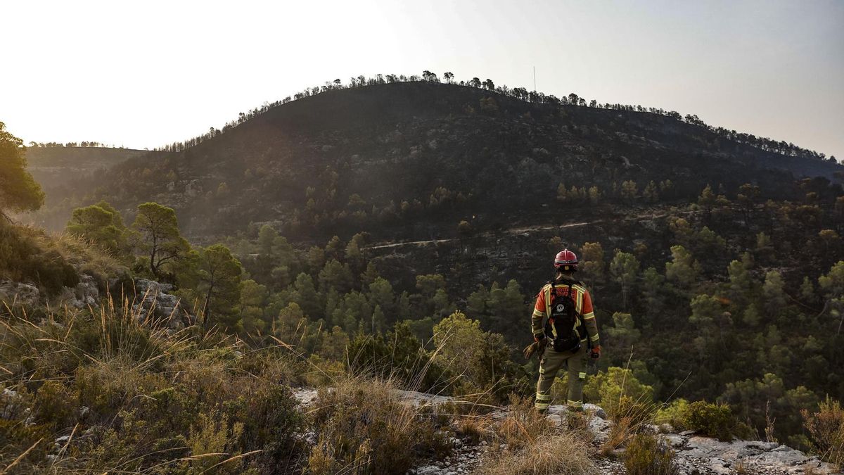 Perimetrado el incendio forestal de Teresa, que ha quemado algo más de 500 hectáreas
