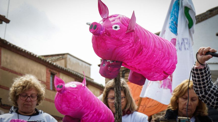 Los vecinos de Retamoso de la Jara recaudarán fondos para llevar a los tribunales una macrogranja de 7.200 cerdos