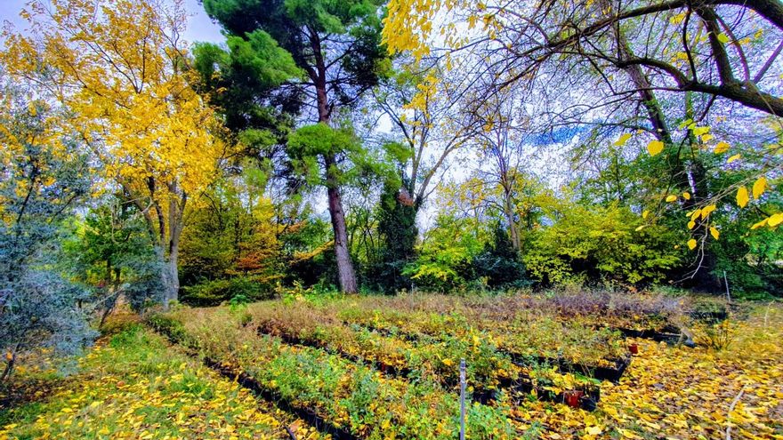 Espacio de Ecología de Albacete