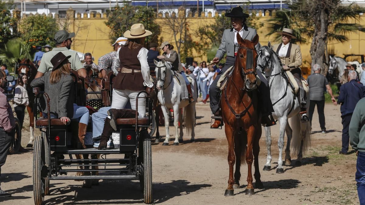 XVIII Marcha Hípica ‘Córdoba a Caballo’