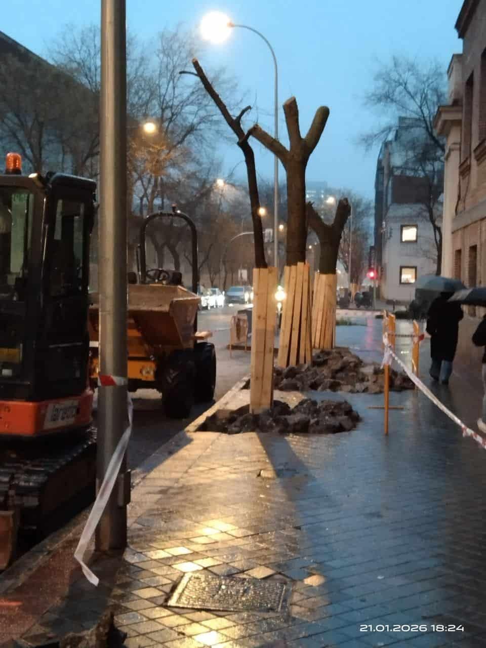 Podas en los árboles de Atocha hace unos días