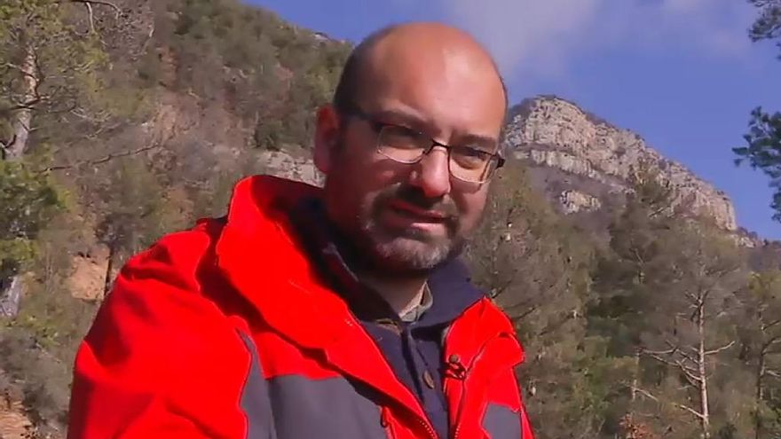 Lluís Brotons, ecólogo forestal: "Reforestar zonas quemadas en el Mediterráneo es una mala idea"