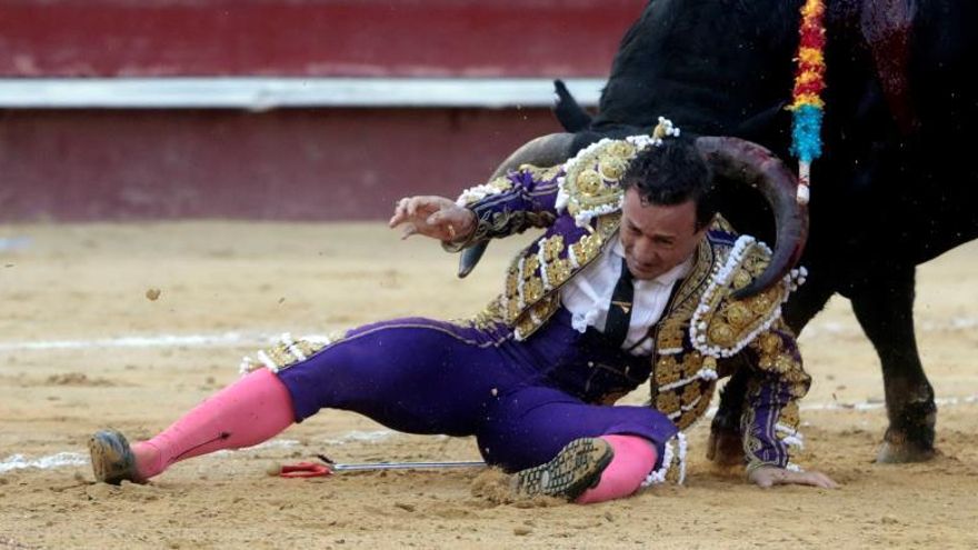 El Supremo obliga al Gobierno a incluir los toros en el bono cultural joven