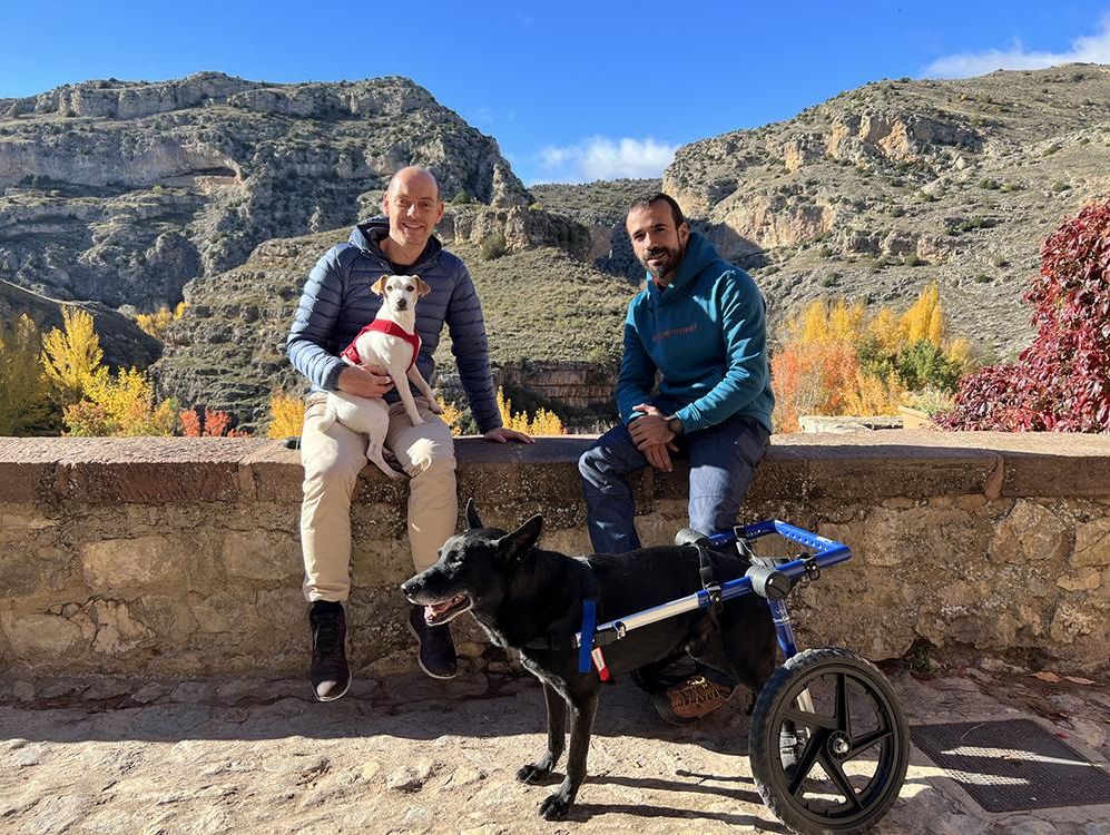 Pipper y Pablo con Dani y su perro Rock, en 'Pipper en ruta'