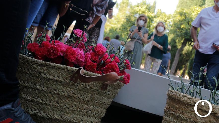 Instalación de Flora 2021 en la Mezquita - Catedral de Córdoba