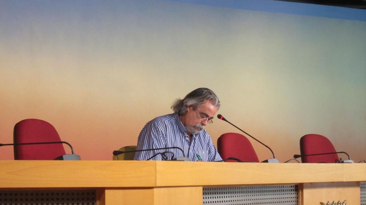 Ángel Pérez cree que "a estas alturas ya está claro" que IU debe concurrir con "sus siglas y su programa"