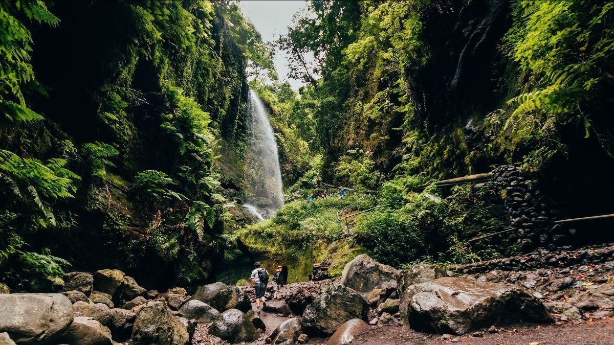 Imagen de archivo de la cascada de Los Tilos, en San Andrés y Sauces.